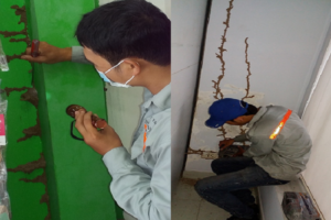 Diệt mối tại Quận 7, Công ty diệt mối ở Quận 7,TPHCM 1 dich vu diet moi tan goc tai quan 7 gia re