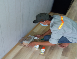 Diệt mối tận gốc tại Quận 3, Công ty diệt mối ở Quận 3 11 diet moi tan goc quan 3 tp ho chi minh