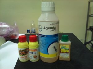 bat mi giup ban cach phong tranh ngo doc thuoc diet moi tan goc tai nha 2