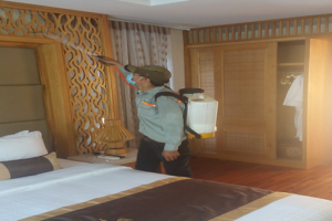 bi kip giup ban phong chong moi hieu qua lau dai va tiet kiem chi phi 1