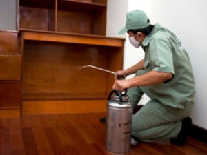 diet moi bang phuong phap tu nhien co thuc su hieu qua 2