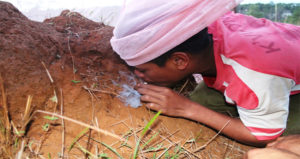 Bật Mí 4 Cách Diệt Mối Tận Gốc Đơn Giản Và Hiệu Quả 10 phuong phap diet moi tan goc duoc nhieu nguoi ap dung 1