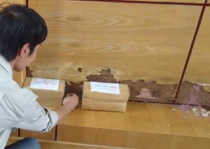 Hướng dẫn thực hiện diệt mối sinh học hiệu quả 15 cach diet moi sinh hoc