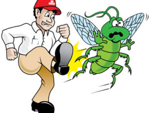 Dịch vụ diệt côn trùng tại TPHCM 18 diet con trung 1 1