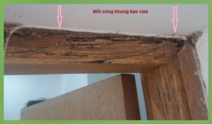 Hướng dẫn diệt mối cho khung bao cửa hiệu quả 55 diet moi khung bao cua 1