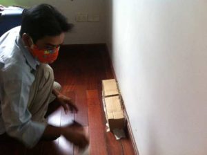 Công ty diệt mối tại Hưng Yên giá rẻ 1 diet moi thanh cong 5