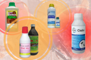 anh huong cua thuoc diet moi tan goc den moi truong 1