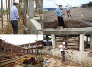 Vì sao phải diệt mối cho công trình xây dựng? 28 thuoc diet moi cong trinh xay dung loai nao tot nhat hien nay 1