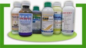 thuoc diet moi cong trinh xay dung loai nao tot nhat hien nay 2