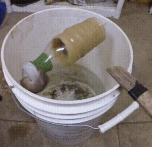 cach diet chuot hieu qua tai nha chi voi mot xo nuoc 1