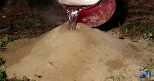 chia se 3 cach diet moi chua dam bao hieu qua 100 1