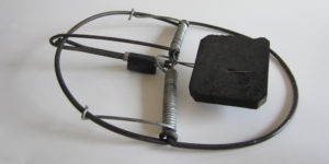 huong dan cach lam bay chuot khong can moi cuc hieu qua 1