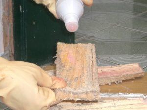 quy trinh tien hanh cach diet moi an tuong nha dung ky thuat