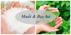 top 3 cach diet gian khong dung hoa chat cho hieu qua cao 1