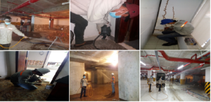 3 lý do bạn nên sử dụng dịch vụ trừ mối mọt chuyên nghiệp 14 dịch vụ trừ mối mọt