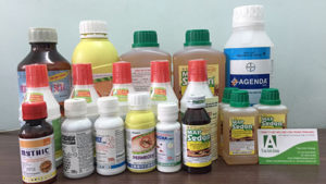 3 quy tắc cần biết khi áp dụng cách tiêu diệt mối chúa bằng thuốc 39 cách tiêu diệt mối chúa