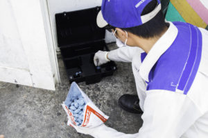 Công ty diệt chuột chuyên nghiệp nhất,TPHCM 25 Công ty diệt chuột chuyên nghiệp nhất Sài Gòn