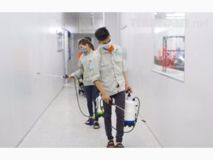 Công ty diệt côn trùng Thành Công uy tín số 1 TP.HCM 4 thuốc diệt côn trùng trong nhà