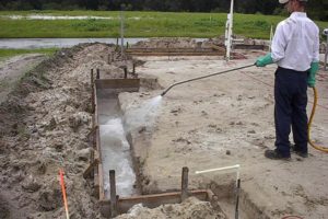 Hướng dẫn cách diệt mối công trình hiệu quả trước khi xây dựng 60 huong dan cach diet moi cong trinh hieu qua truoc khi xay dung