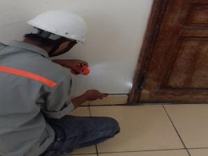 Làm sao để diệt mối gỗ tận gốc mà không làm hư tủ gỗ? 36 lam the nao diet moi go tan goc ma khong lam hu tu go