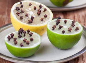 Mẹo đuổi muỗi tự nhiên đơn giản cho hiệu quả bất ngờ 10 mẹo đuổi muỗi tự nhiên