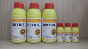Thuốc diệt mối chúa nào tốt nhất hiện nay? 9 thuoc diet moi chua nao tot nhat hien nay 1