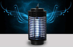 3 điều nên làm để diệt mối cánh tại nhà nhàn hạ 4 3 điều nên làm để diệt mối cánh tại nhà nhàn hạ