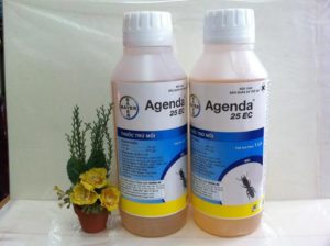 Báo giá thuốc diệt mối tại Trung Tâm Diệt Mối Thành Công 24 Báo giá thuốc diệt mối tại Trung Tâm Diệt Mối Thành Công