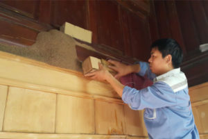 Cách diệt mối an toàn tại nhà được tiến hành như thế nào? 54 Cách diệt mối an toàn tại nhà được tiến hành như thế nào?