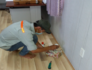 Cách diệt mối sinh học có an toàn cho con người và vật nuôi không? 42 Cách diệt mối sinh học có an toàn cho con người và vật nuôi không?