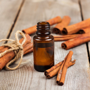 Cách diệt ruồi cho quán ăn hiệu quả trong tích tắc 10 Cách diệt ruồi cho quán ăn hiệu quả trong tích tắc