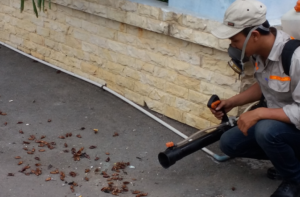 Chi phí diệt gián tận gốc tại công ty Thành Công bao nhiêu tiền? 12 Chi phí diệt gián tận gốc tại trung tâm Thành Công bao nhiêu tiền?