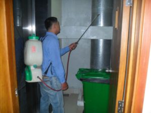 Công ty diệt mối tại Đồng Tháp chất lượng 7 Công ty diệt mối tại Đồng Tháp chất lượng