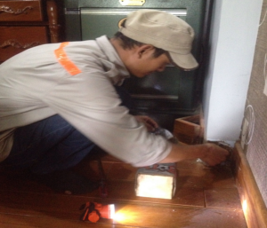 Công ty diệt mối tại Trà Vinh giá rẻ 13 Công ty diệt mối tại Trà Vinh giá rẻ