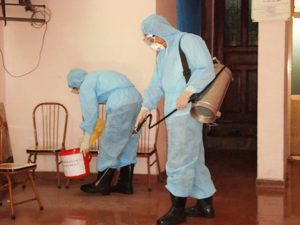 Dịch vụ diệt mối ở tphcm uy tín số 1 thị trường 48 Dịch vụ diệt mối ở tphcm uy tín số một