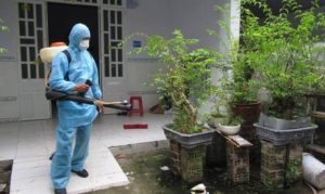 Diệt mối bằng cách dân gian và diệt mối bằng thuốc: Đâu mới là cách làm tốt nhất? 60 Diệt mối bằng cách dân gian và diệt mối bằng thuốc: Đâu mới là cách làm tốt nhất?