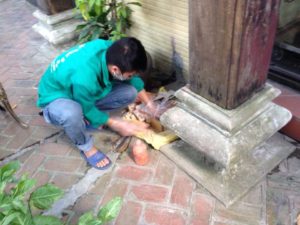 Hướng dẫn diệt mối tại nhà đảm bảo thành công 100%