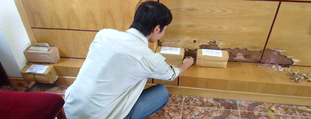 Nên tự diệt mối tại nhà hay lựa chọn dịch vụ diệt trừ tận gốc?