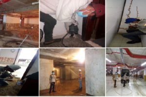 3 lưu ý quan trọng khi lựa chọn đơn vị cung cấp dịch vụ diệt mối tại tphcm 6 3 lưu ý quan trọng khi lựa chọn đơn vị cung cấp dịch vụ diệt mối tại tphcm