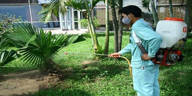 3 lý do bạn nên liên hệ dịch vụ diệt muỗi tại nhà Thành Công