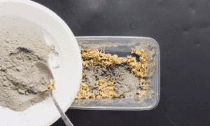 Cách diệt chuột bằng xi măng đơn giản nhưng hiệu quả bất ngờ