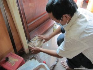 Cách diệt mối mọt hiệu quả nhất trong mùa mưa