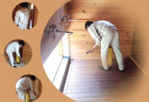 Bật mí cách diệt mối sàn gỗ hiệu quả cao tại nhà