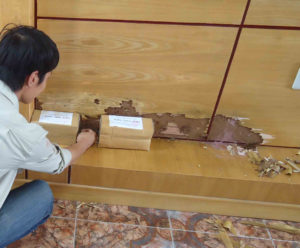 Cách diệt mối gỗ tại nhà nào hiệu quả nhất? 32 Cách diệt mối gỗ tại nhà nào hiệu quả nhất?