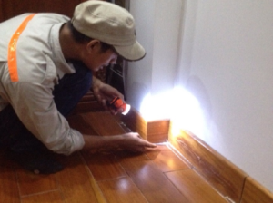 Dịch vụ diệt mối tận gốc giá rẻ ở đâu?