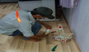 Mách bạn 2 bước phòng trừ mối tại nhà hiệu quả 100% 25 mach ban 2 buoc phong tru moi tai nha hieu qua 100 1