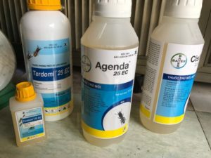 Nơi nào bán thuốc diệt mối sinh học giá rẻ chất lượng?