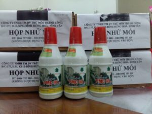 Quy tắc sử dụng hộp nhử mối hiệu quả bạn cần biết