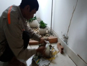 3 lưu ý không thể bỏ qua khi tìm kiếm địa chỉ diệt mối chuyên nghiệp