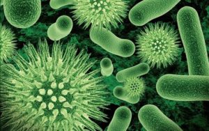 4 tac hai cua moi mot khien moi nguoi khong ngo 2